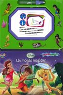Disney les fées : Un monde magique