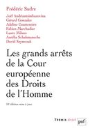 Les grands arrêts de la Cour européenne des droits de l'Homme - 10e édition