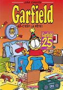 Garfield 37  C'est la fête!