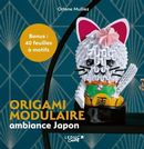 Origami modulaire ambiance Japon