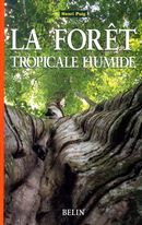Forêt tropicale humide