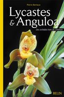 Lycastes & Anguloa - Des orchidées hors du commun