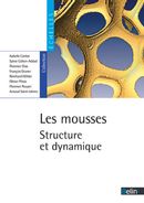 Mousses: structure et dynamique