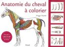 Anatomie du cheval à colorier