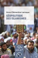 Géopolitique des islamismes - 3e édition