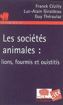 Sociétés animales : lions, fourmis et ouistitis