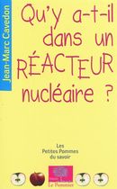 Qu'y-a-t'il dans un réacteur nucléaire ?