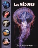 Les méduses - Tout un Monde en Photos