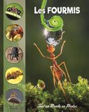 Les fourmis - Tout un Monde en Photos