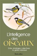 L'intelligence des oiseaux - Entre stratégies collectives & génie individuel