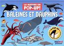 Baleines et dauphins - 8 pop-up!