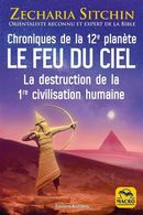 Chroniques de la 12e planète : Le feu du ciel - La destruction de la 1re civilisation humaine N.E.