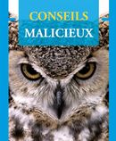 Conseils malicieux