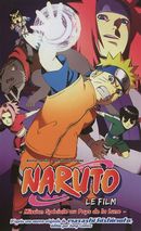 Animés Comics Naruto Mission spéciale pays