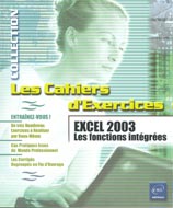 Excel 2003-Les fonctions intégrés (Les cahiers d'exercices)
