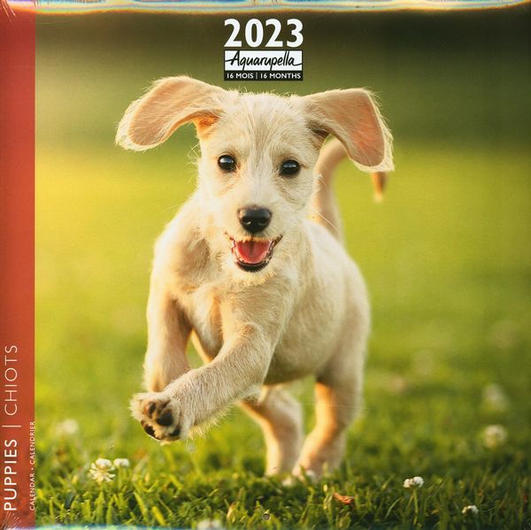 Calendrier bébés animaux 2024