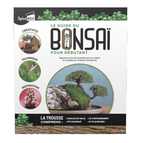 Le guide du bonsaï pour débutant