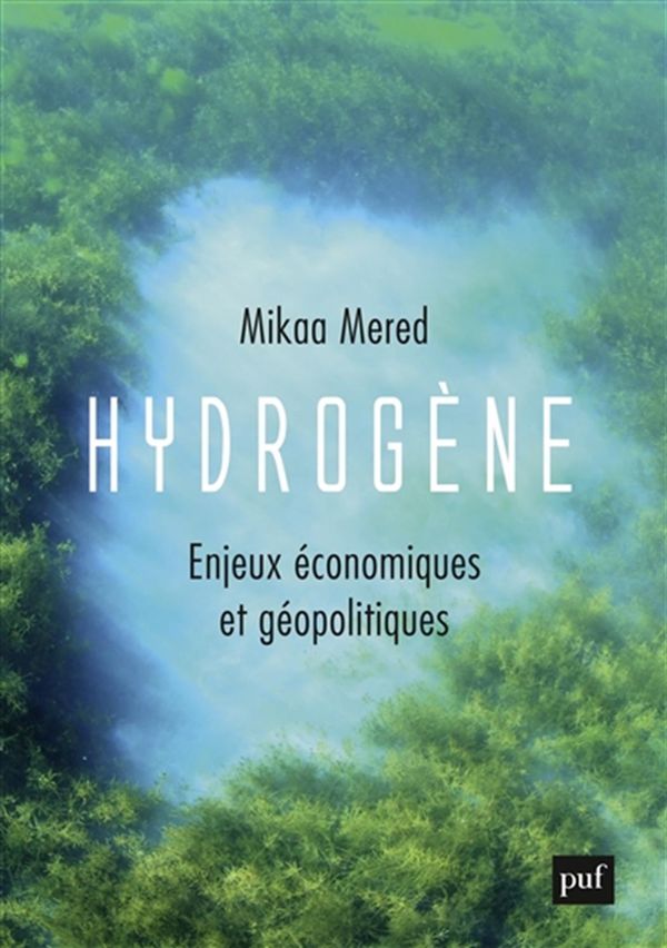 Hydrogène : Enjeux économiques et géopolitiques
