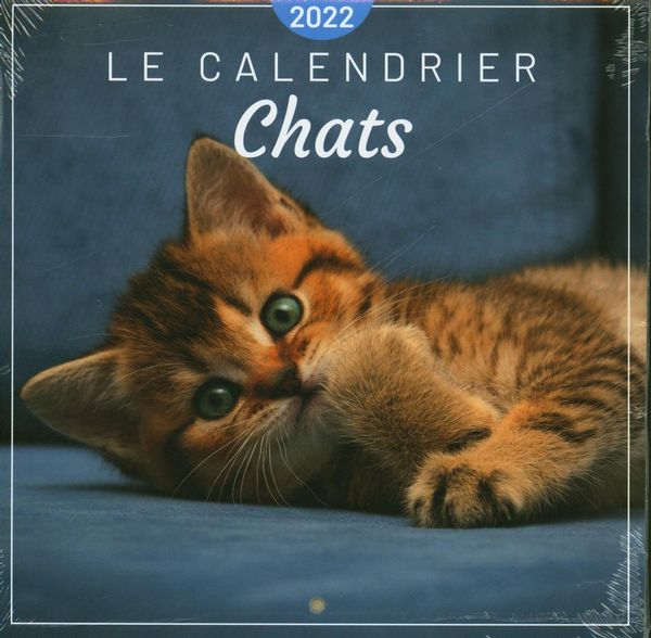 Le calendrier Chats 2022