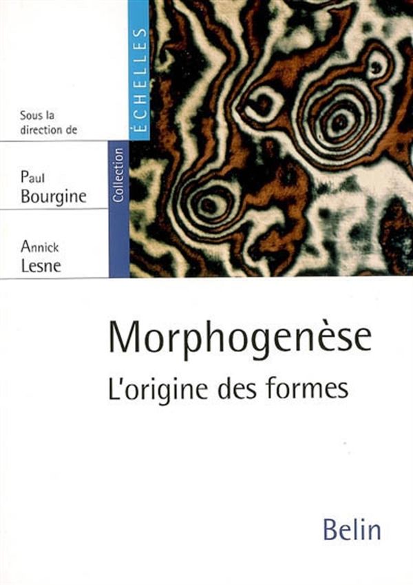 Morphogenèse : L'origine des formes