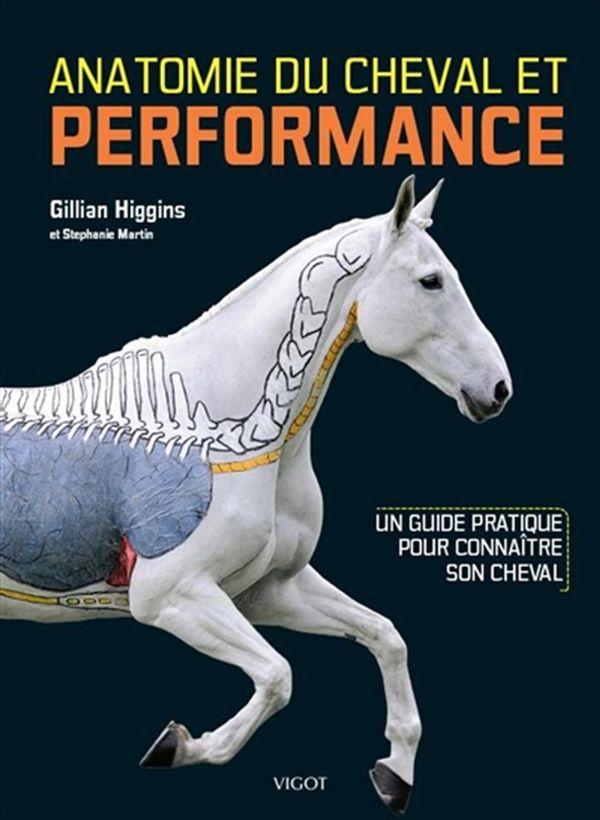 Anatomie du cheval et performance - Un guide pratique pour connaître son cheval N.E.