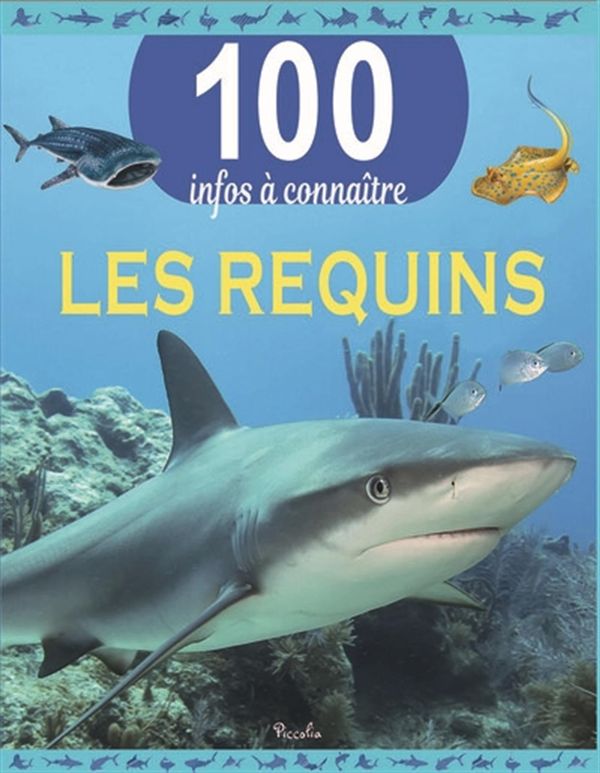 Les requins - 100 infos à connaître