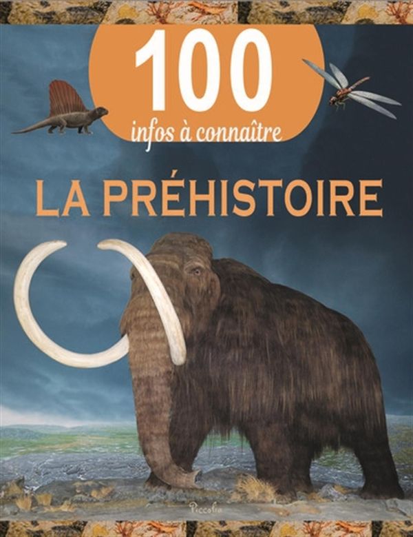 La préhistoire - 100 infos à connaître
