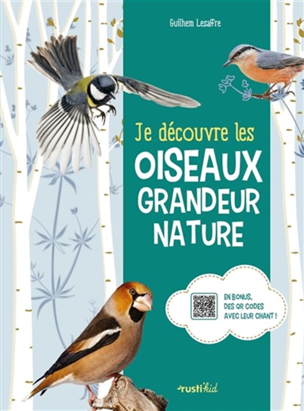 Calendrier Oiseaux grandeur nature 2024 - Rustica éditions - Multicolore 30  x 30 cm : Calendriers ÉDITIONS RUSTICA maison - botanic®