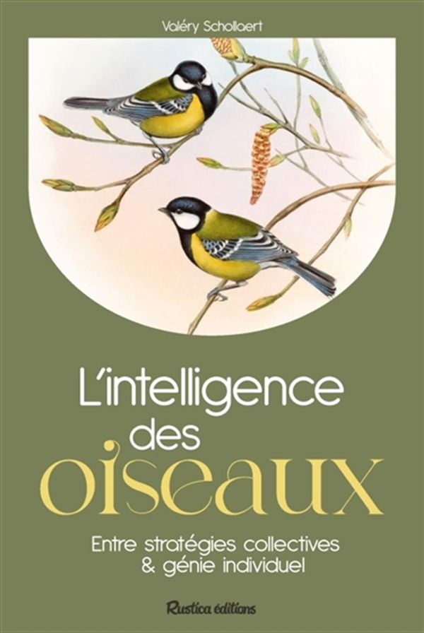 L'intelligence des oiseaux - Entre stratégies collectives & génie individuel
