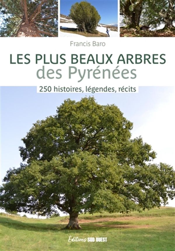 Les plus beaux arbres des Pyrénées - 250 histoires, légendes, récits