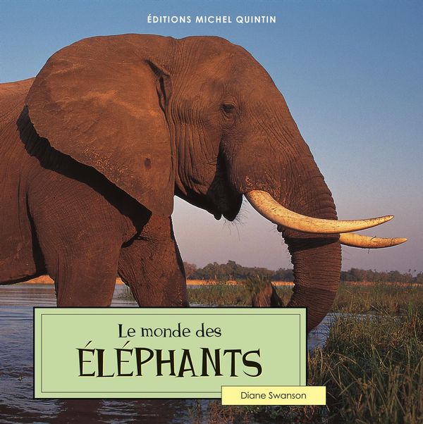 Le monde des éléphants