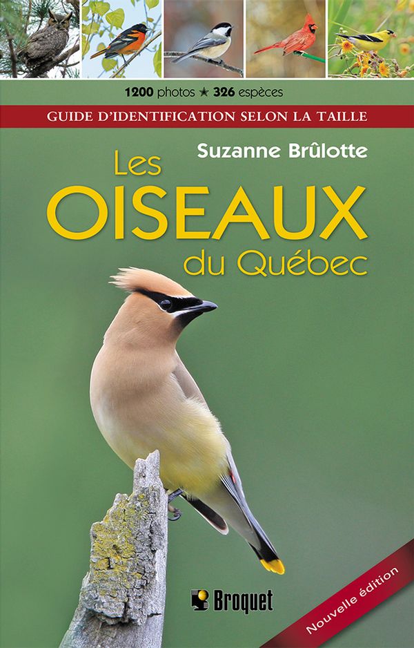 Oiseaux du Québec Les (Identification par la taille) N.E.