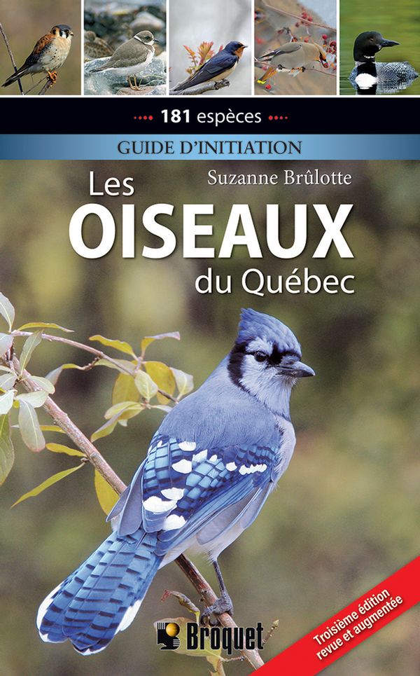 Oiseaux du Québec Les (Guide d'initiation 3e édition)