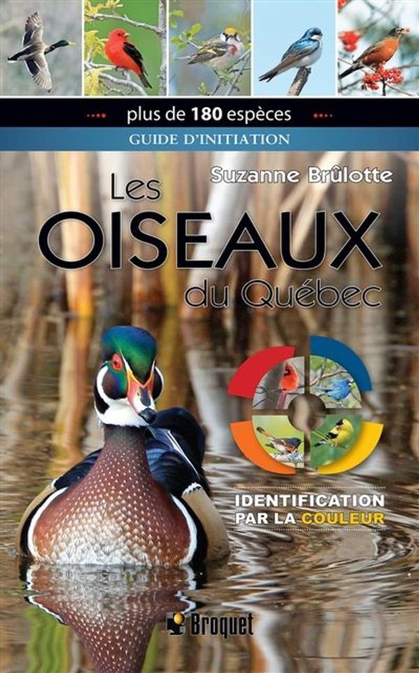Oiseaux du Québec Les (Identification par la couleur)