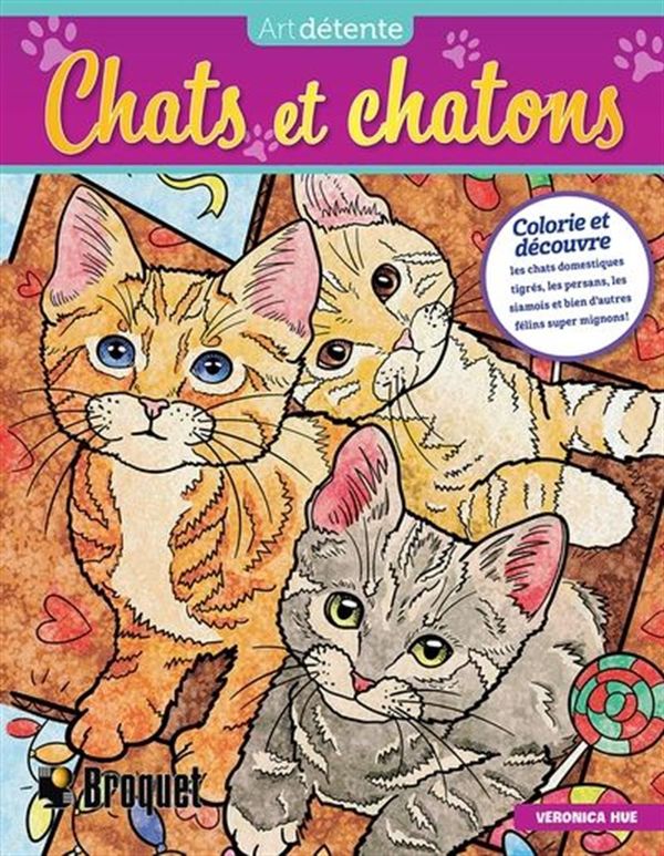 Chats et chatons - Livre à colorier
