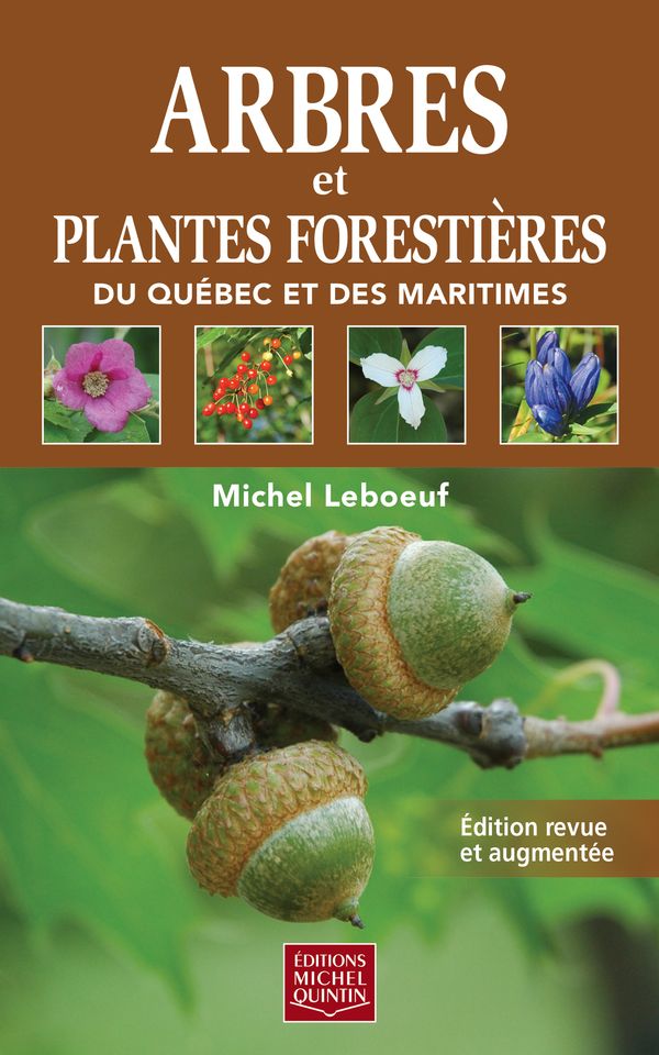 Arbres et plantes forestières du Québec et des Maritimes Edition revue et augmentée