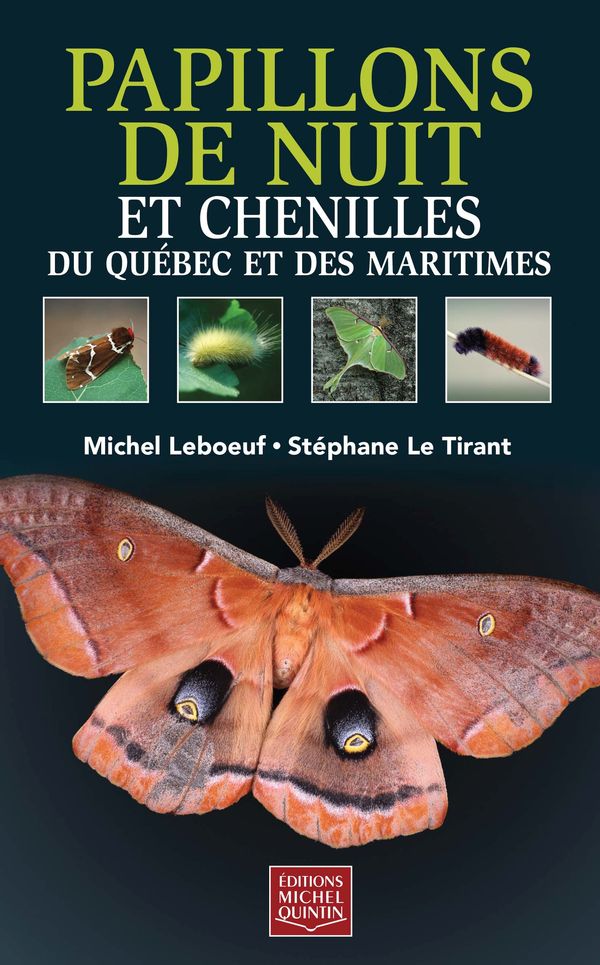 Papillons de nuit et chenilles du Québec et des Maritimes