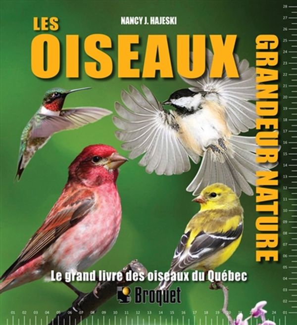 Les oiseaux grandeur nature - Le grand livre des oiseaux du Québec