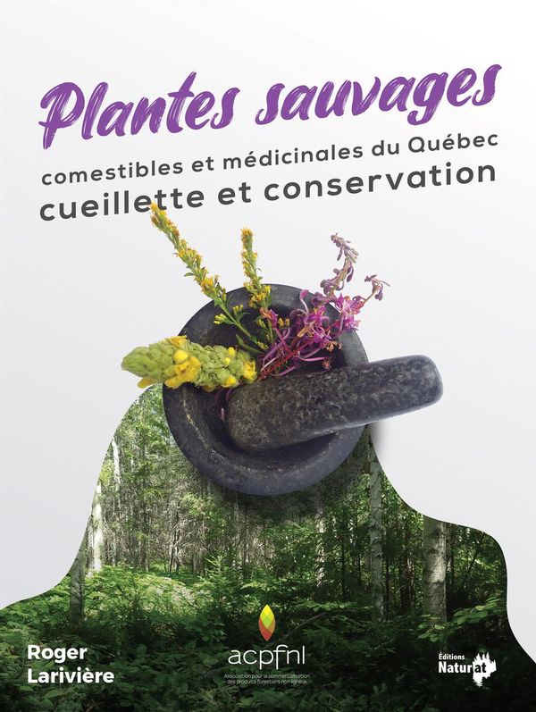 Plantes sauvages comestibles et médicinales du Québec - Cueillette et conservation