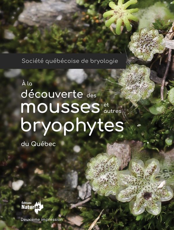 À la découverte des mousses et autres bryophytes du Québec