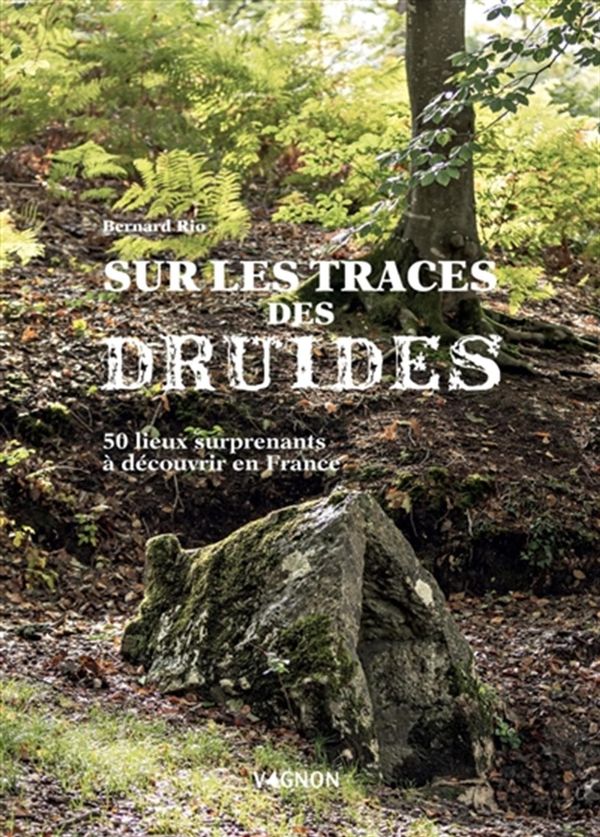Sur la trace des druides - 50 lieux surprenants à découvrir en France