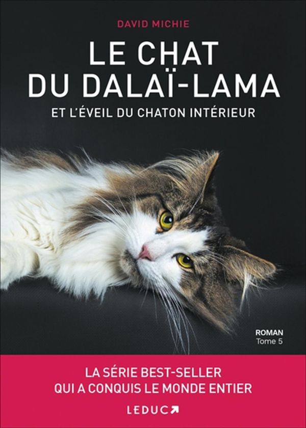 Le chat du Dalaï-Lama et l'éveil du chaton intérieur 05